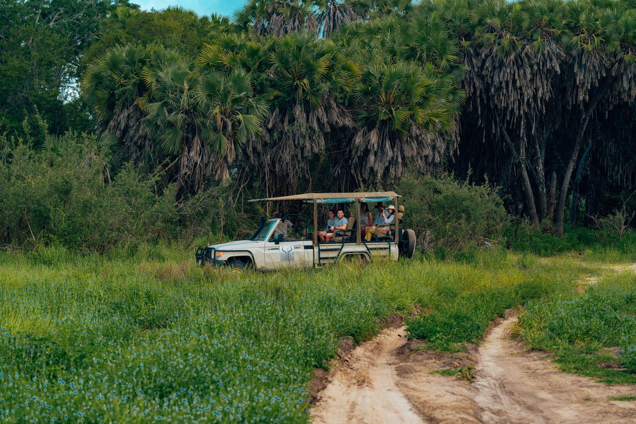 Safari vehicle with tourists exploring a lush tropical landscape on an unpaved road.