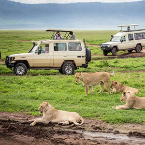2 Days Ngorongoro Safari