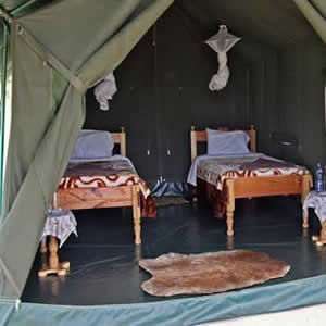 3 Days Masai Mara Camping Safari