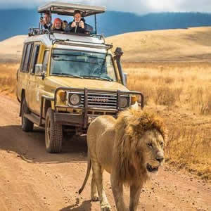 4 Days Serengeti - Ngorongoro Crater Safari
