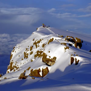 7 Days Mount Kilimanjaro Climbing - Lemosho Route