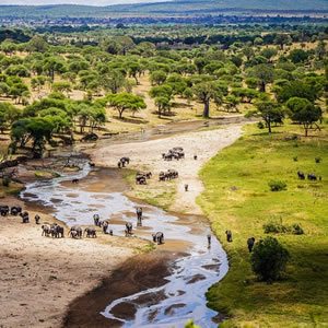 Tarangire - Serengeti - Ngorongoro Safari