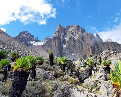 mount kenya hiking