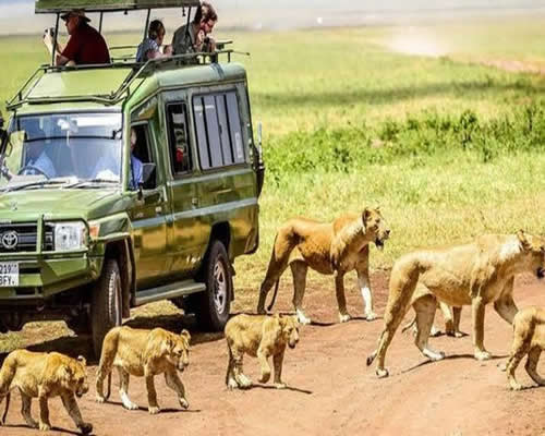 Ngorongoro Safaris